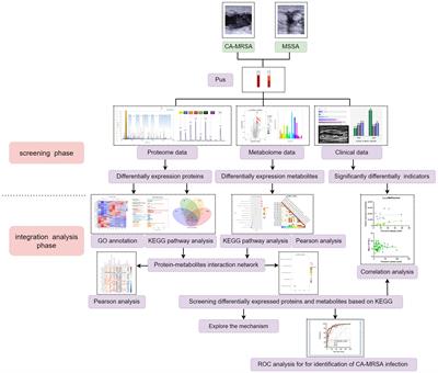 Integrative proteomic and metabonomic profiling elucidates amino acid and lipid metabolism disorder in CA-MRSA-infected breast abscesses
